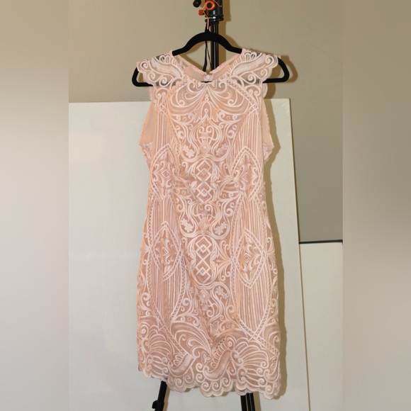 EUC REISS Roxanda Capped Sleeve Light Pink Lace Sheath Dress Size 10 - Picture 5 of 7